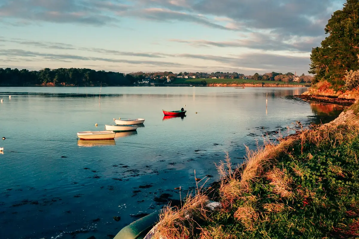 Petits bateaux au mouillage dans le golfe du Morbihan, côté Arradon, rive boisée au fond