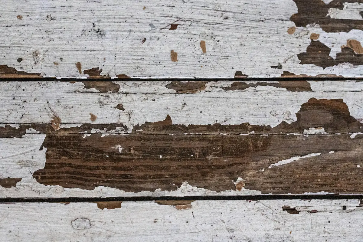 Vieilles planches de bois dont la peinture blanche s’écaille par plaques