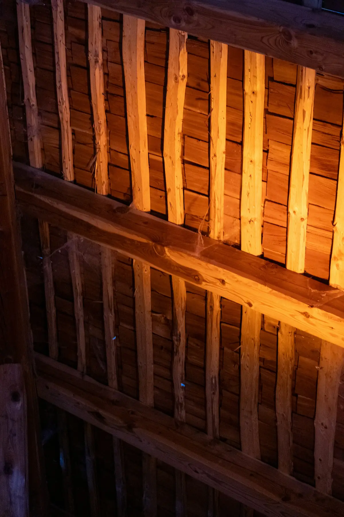 Plafond à poutres et solives de bois, vu d’en dessous dans une lumière chaude
